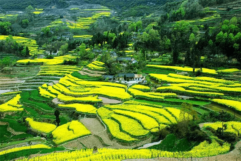 春天的陝西居然藏著這些美景去過90就是人生贏家