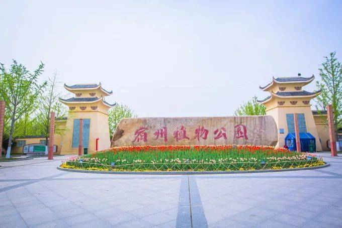 惊艳宿州植物园航拍高清组图流出