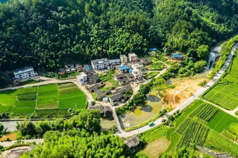 试点先行四都镇三强化三提升推动两治一拆工作再上新台阶