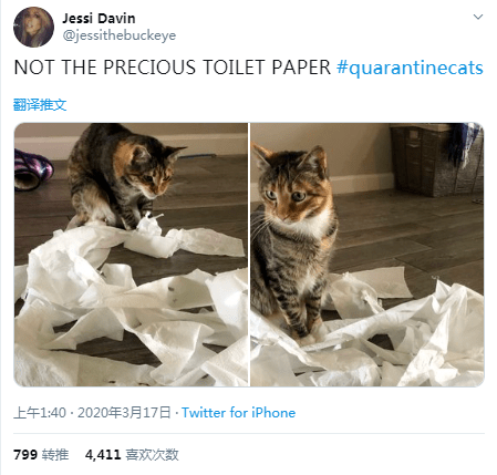 9c73e612b3d64eaf95335d7fdc65180a.png