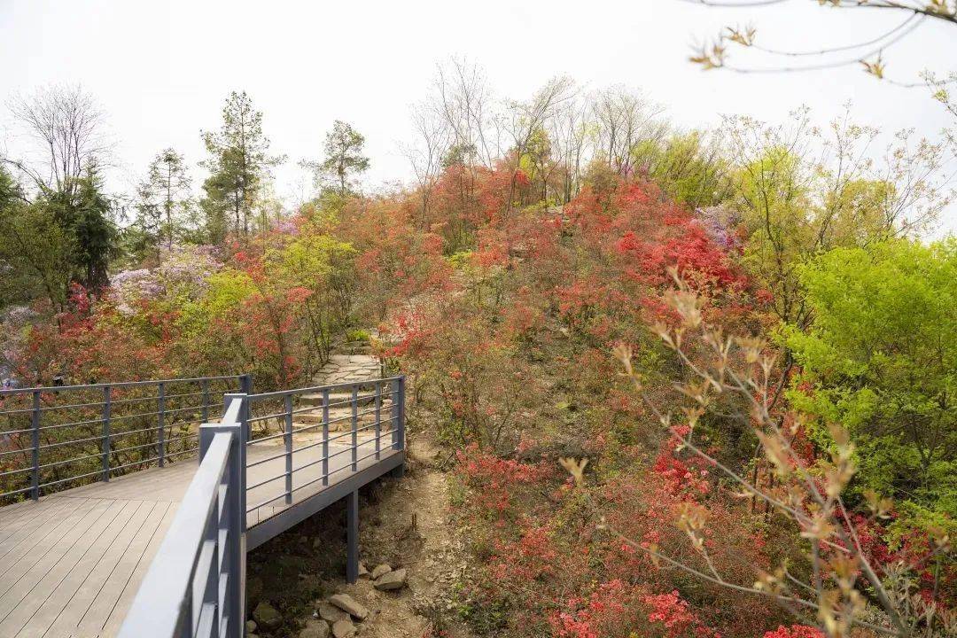 夷陵区乐天溪镇王家坪村—金刚山自驾路线:城区—小溪塔—鄢家河