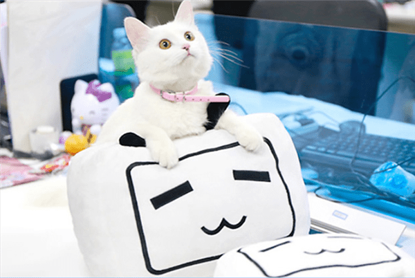 b站申请小电视相关商标被部分驳回 二审维持原判_服务