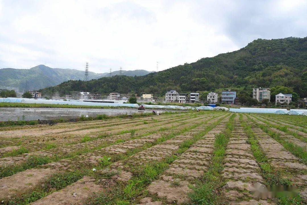 东乡杨溪镇有多少人口(2)