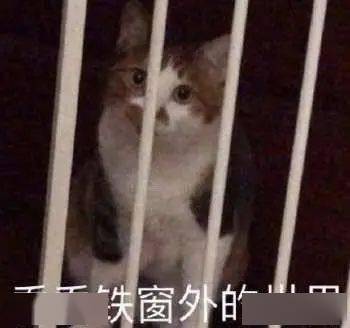 厦门一公司100多箱货物神秘失踪!警方一查竟是
