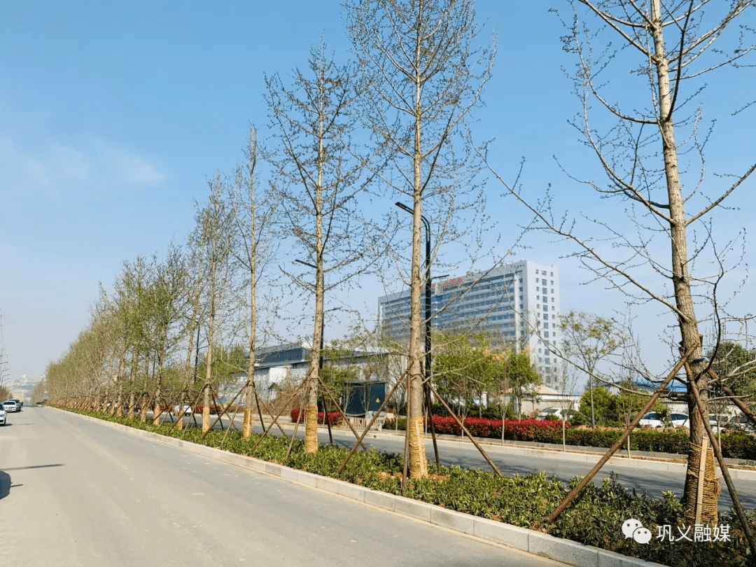 高颜值巩义东区又添一条景观大道
