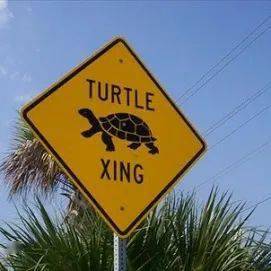 school crossing(小心学生)近年来,"xing"在美国更加常见,人与动物过