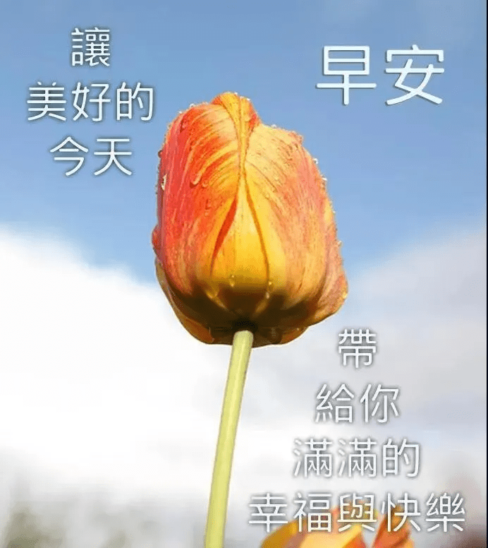 给你舒怀,用快乐的词汇凝聚,给你祝福,祝你在绚丽的晨光中走好每一天