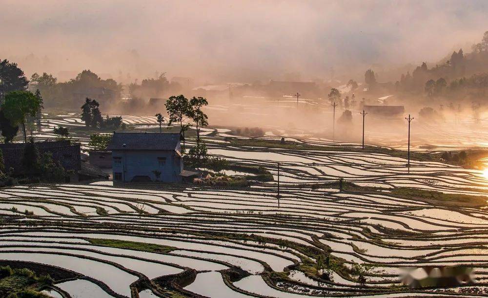 美图重庆盐井村梯田云蒸雾绕描绘最美田园画卷