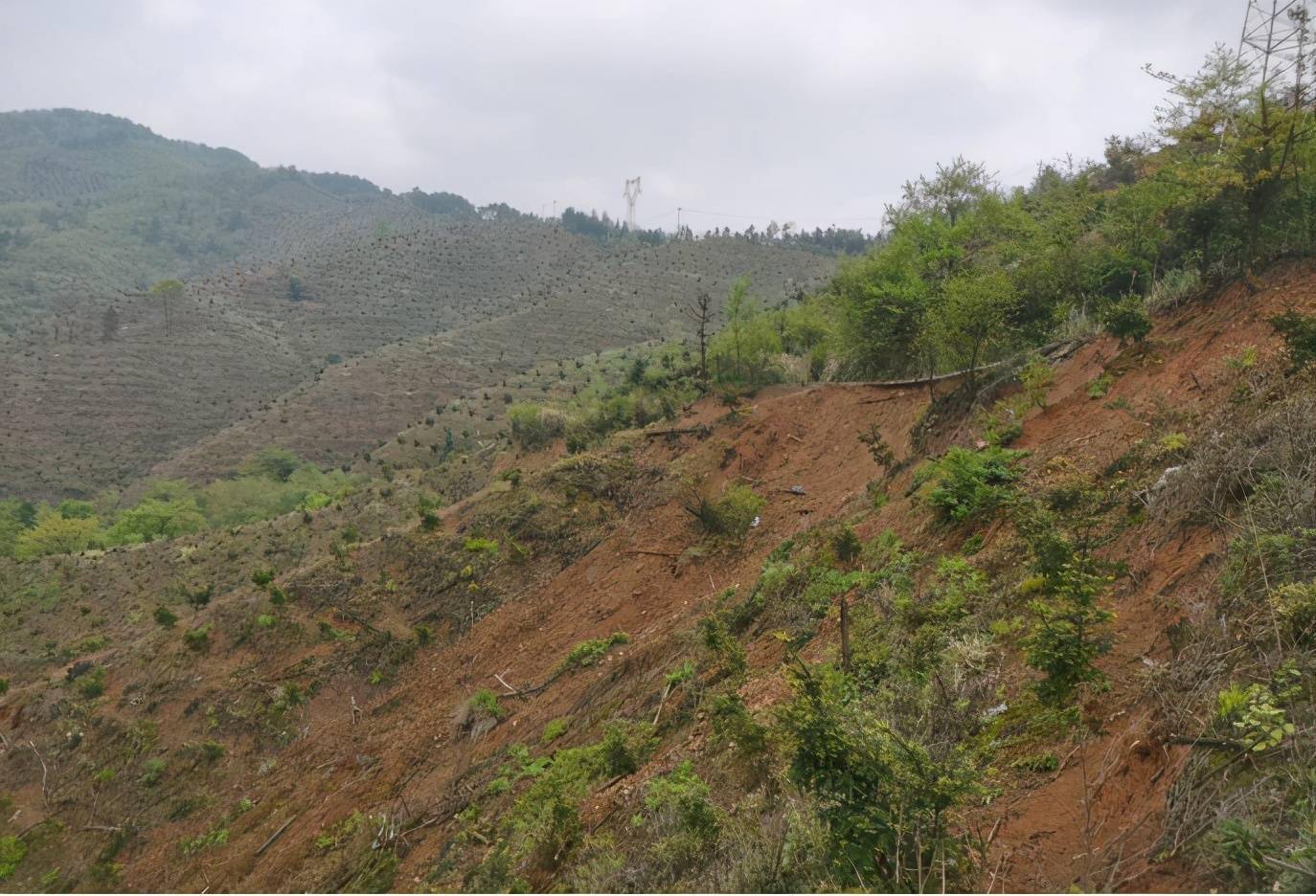 黄山太平湖违规建设房地产项目整改不力中央环保督查组通报