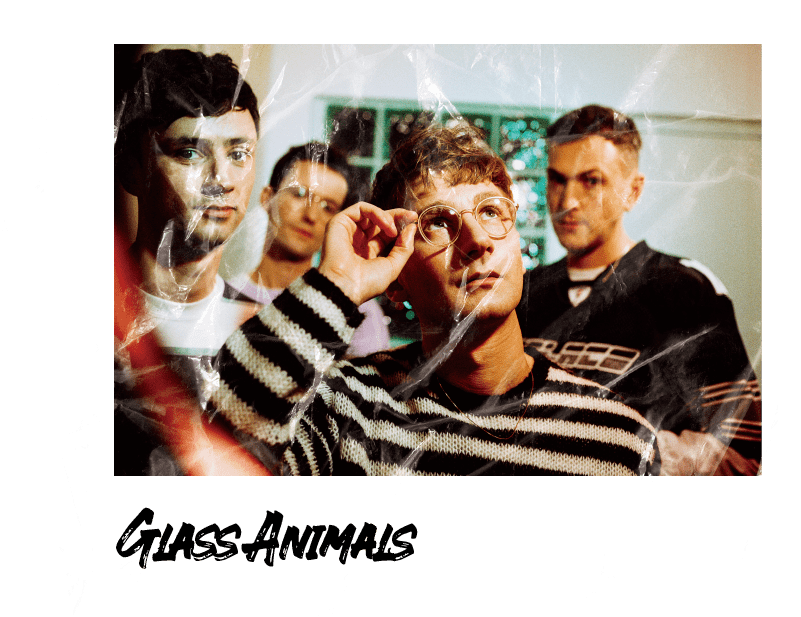 你可以错过任何乐队唯独glassanimals不行