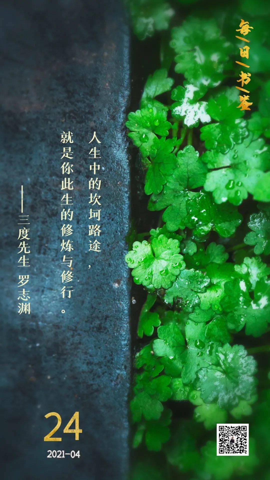 坎坷路途就是你的修行