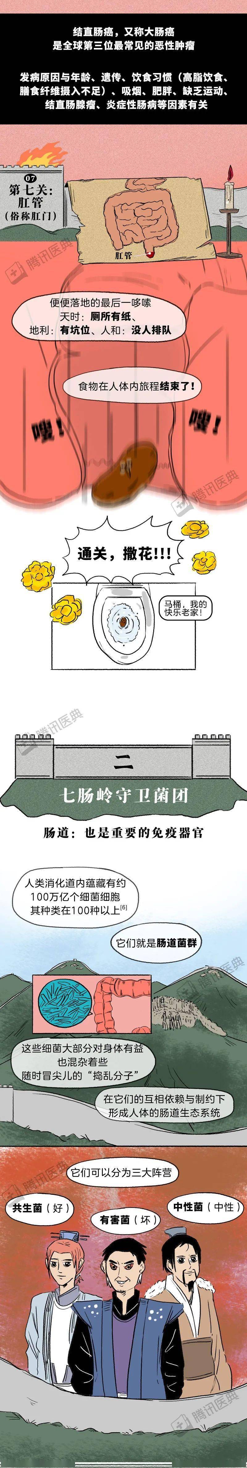 肠道是怎么把食物变成便便的?