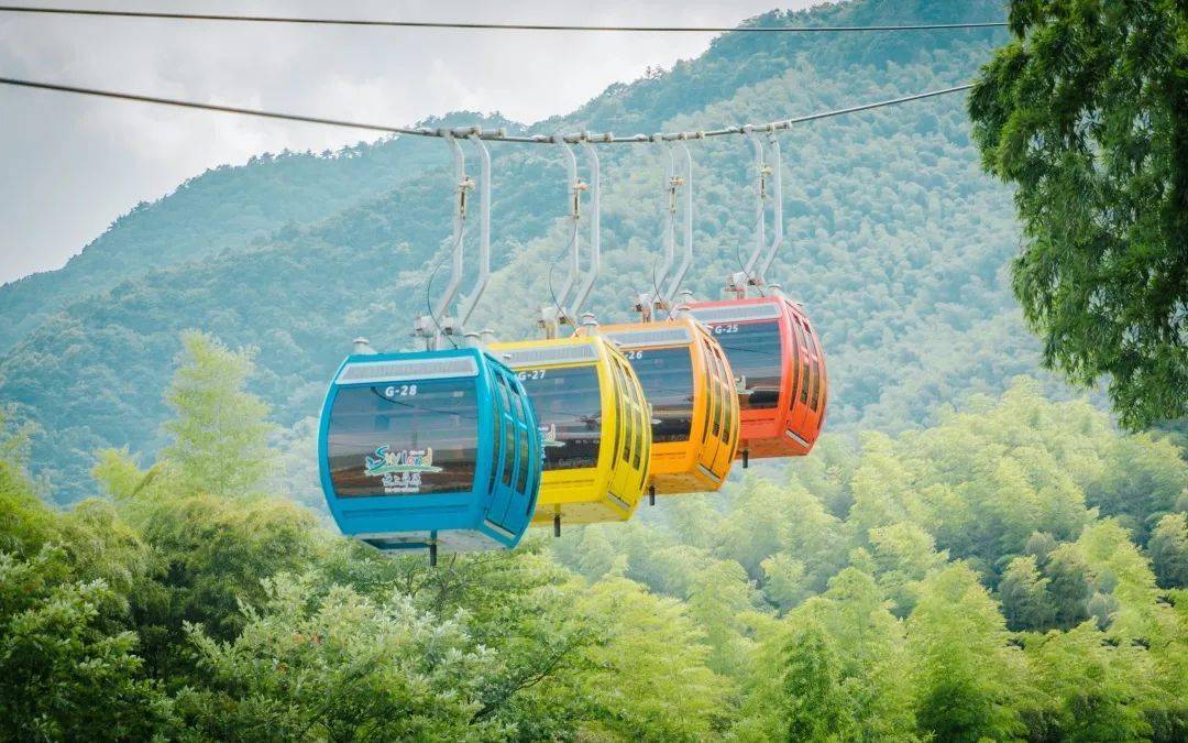 光听这个名字就知道一定很美这也是咱们安吉的后起之秀云