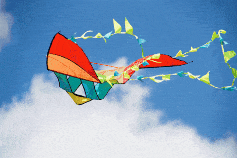 浅色的风筝线不容易被发现,藏有隐患,可以选择颜色醒目的风筝线或