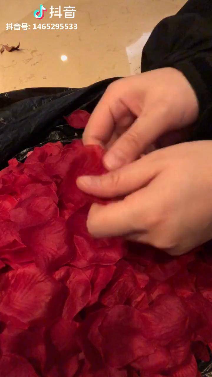懒人撕花瓣强迫症的日常这样撕出来的花瓣才是有灵魂的撕到指纹都给你