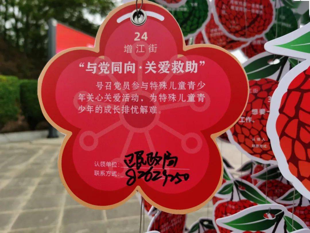学党史办实事心愿树上荔枝红增城启动双微行动为群众办实事