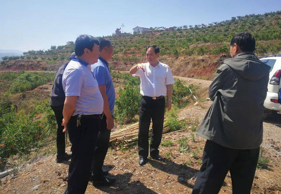 市政协民宗委到易门县调研农业产业发展和乡村振兴工作