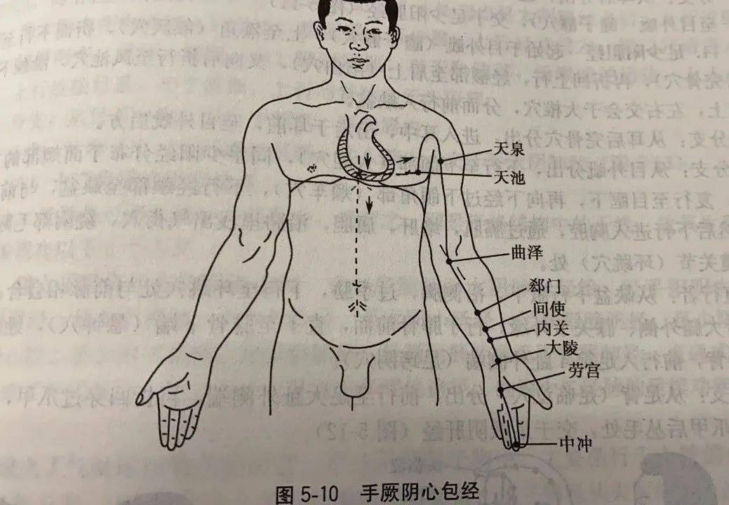 手少阳三焦经的位置图图片