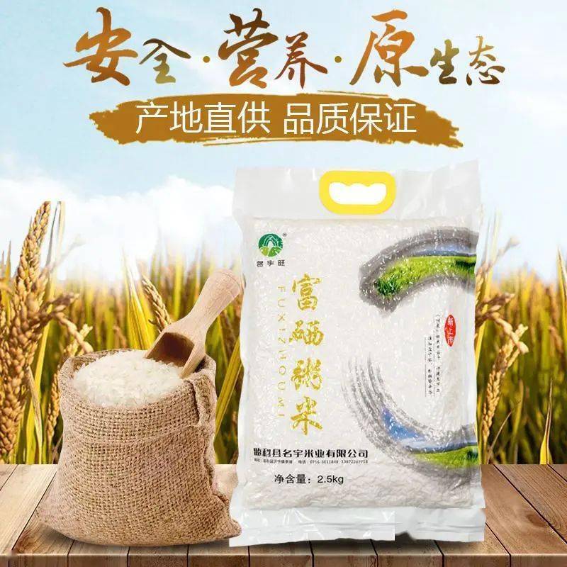 散养麻鸭,觅食于生态保护基地,水生资源丰富的虾螺稻鸭共生生态环境中