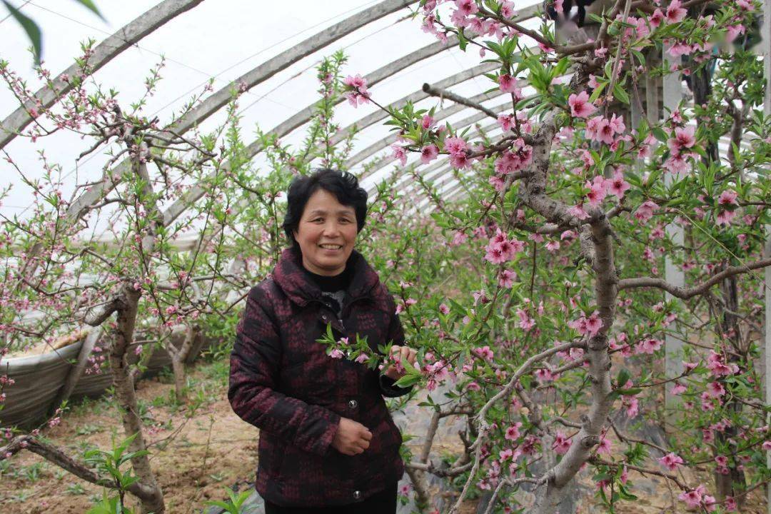 展砀山劳模风采献礼建党百年丨省劳模刘瑞莲全国文明村的掌舵人