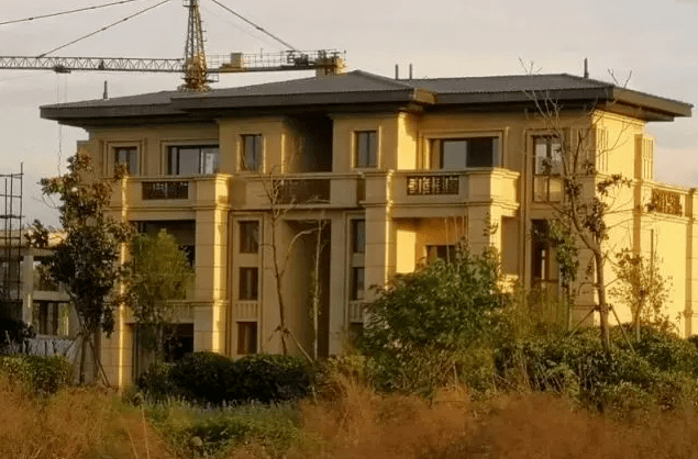 中国国家画院20套违建别墅,被没收!