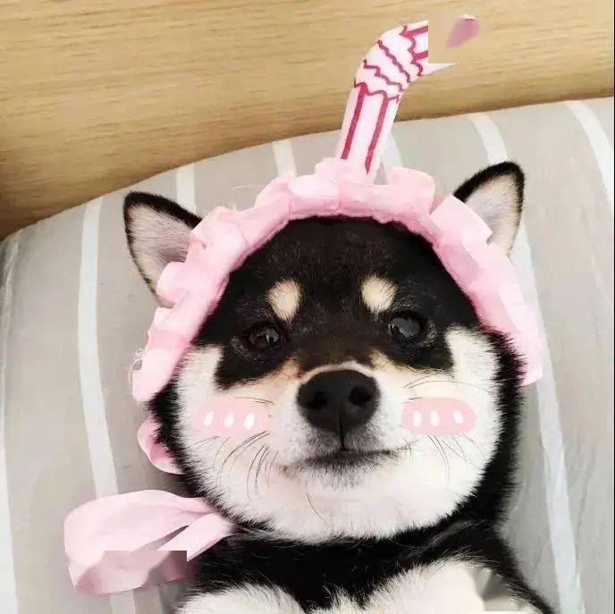 微信头像100张好看的图片 8b3b7b1b7ef24ae0afd43129115d2a61.jpeg