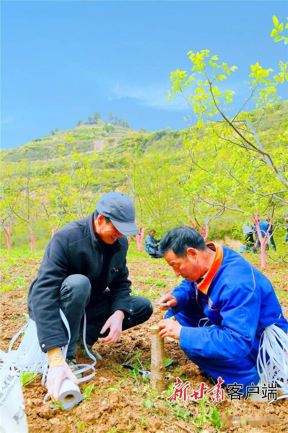 成县郭建宁图片