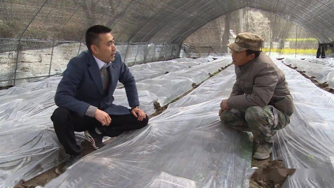 劳模风采丨王雪明农民眼里的百科全书