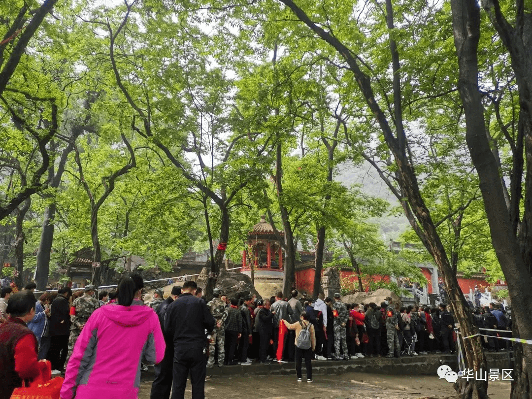 今天农历三月十五来逛华山古庙会体验当地传统民俗