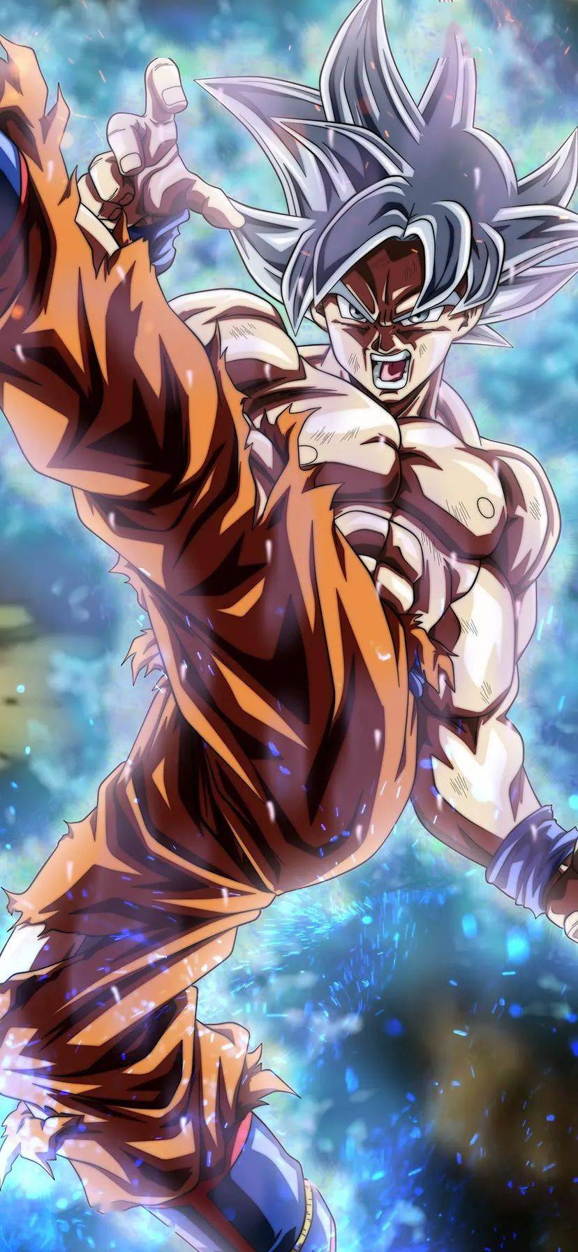 龙珠图集最强赛亚人登场