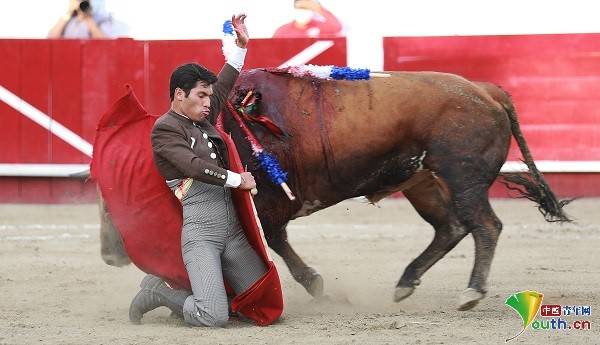 墨西哥莱昂举办斗牛大赛 上演华丽决斗