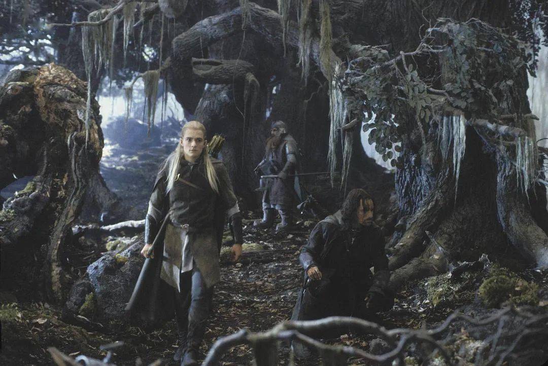 在中土的世界观中,人类,矮人,霍比特人,精灵,树人,兽人等种族被赋予了