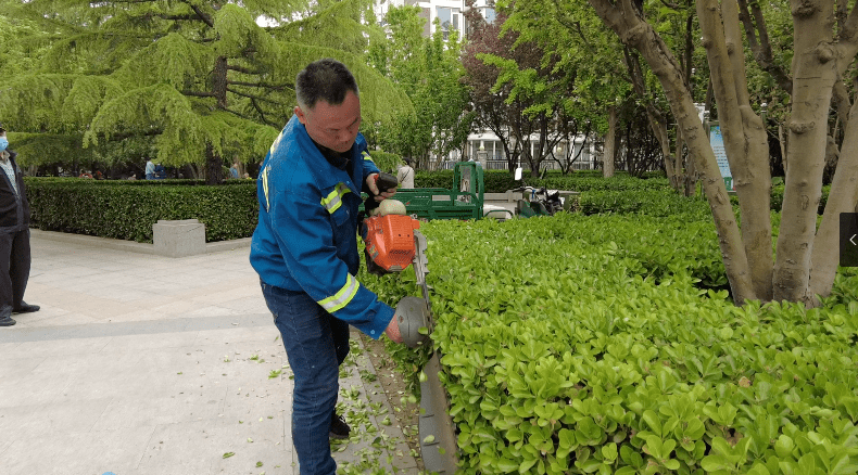 园林绿化修剪公司(园林绿化修剪公司名字)