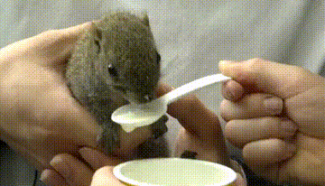 杭州男老师化身"奶爸",全班一起"带娃"还解决住房……_松鼠