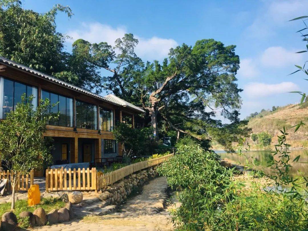 春光村内沿大樟溪畔建设有九个木屋,一座座状如行船的木屋隐于山林间