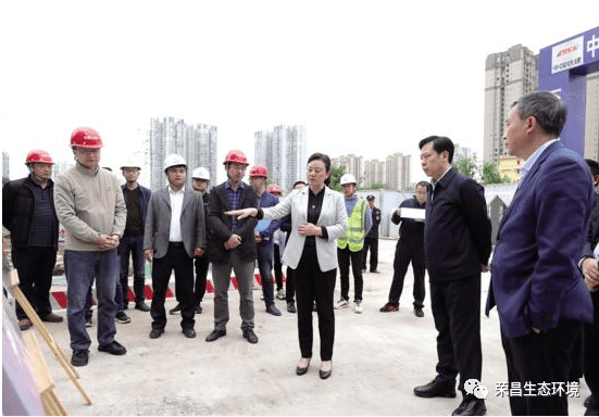 卢红在调研我区重点项目建设时强调 精心谋划推进项目建设 抢抓机遇补齐发展短板_黄金坡