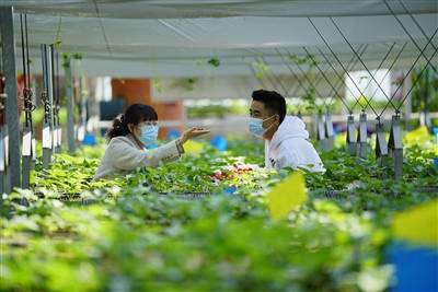 农业科技养殖技术网 
