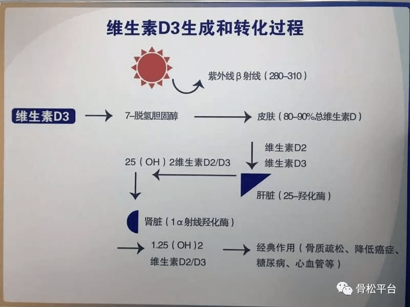 医文医话苗德胜带你认识维生素d二