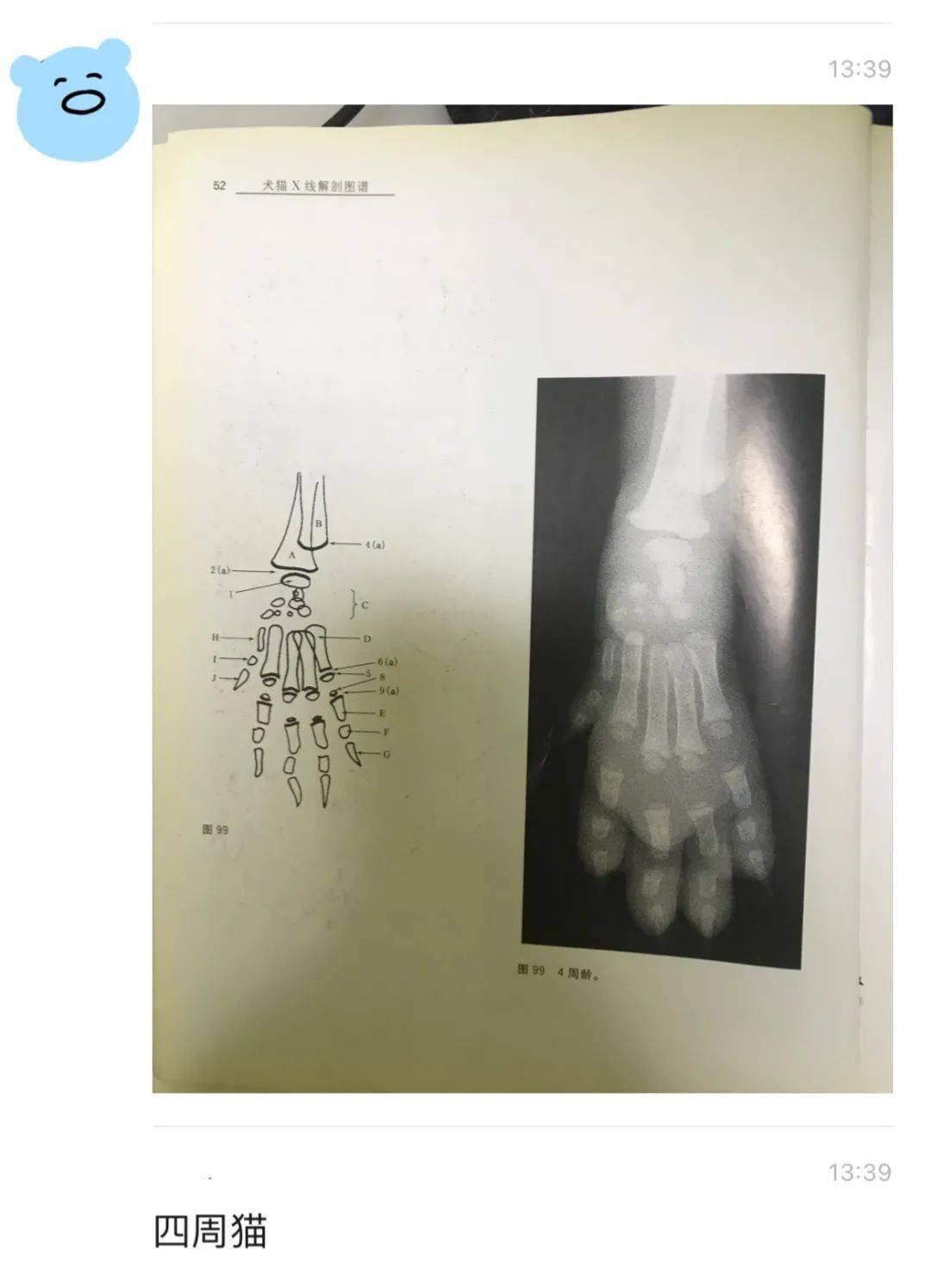 网上火了7年的猫爪x光居然是假的