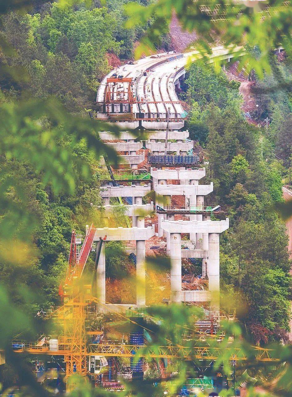 快来看汉巴南铁路王坪至通江高速建成这样了