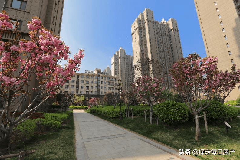 全城聚焦公爵归来清山公爵城销售中心全新售楼部5月1日惊艳亮相