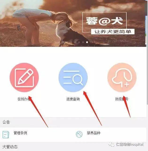 1,点击在线办理微信搜索公众号【蓉城犬管】犬证网上办理具体操作,如