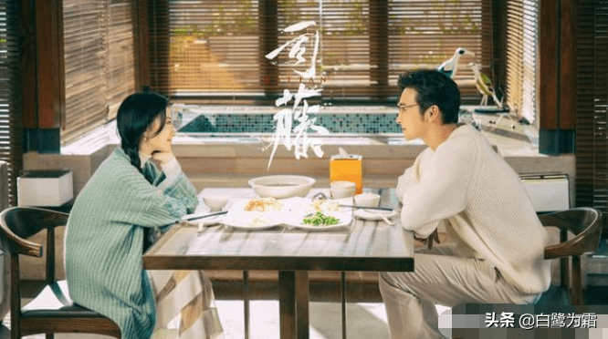 司藤小说讲的是什么 3c72ddb11c76416bb701f4ada8c99986.png