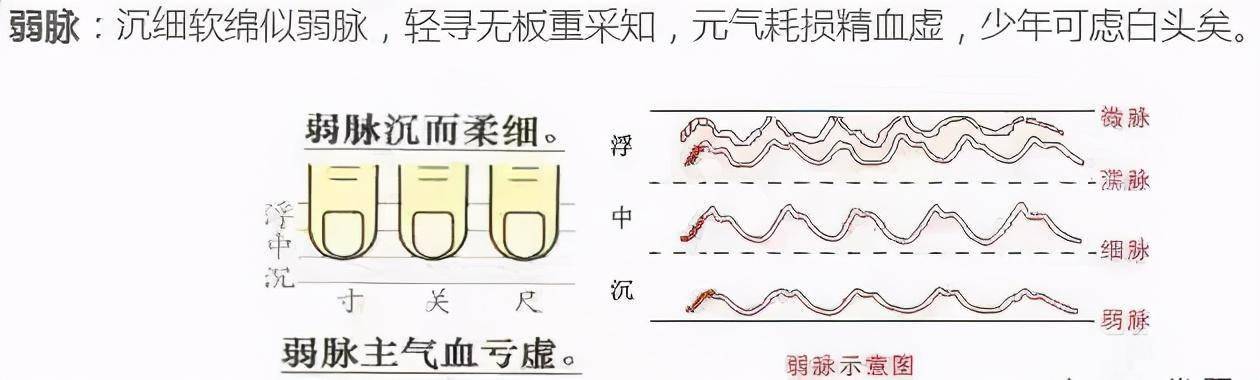 人体脉象弱可能与身体这4个原因有关