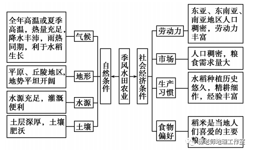 【新微专题】世界主要农业地域类型知识详解,附专题训练_生产