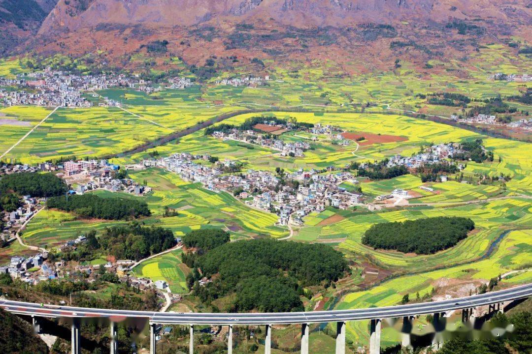 政策速览 | 推进乡村振兴加快农业农村现代化,支持区块链产业发展....