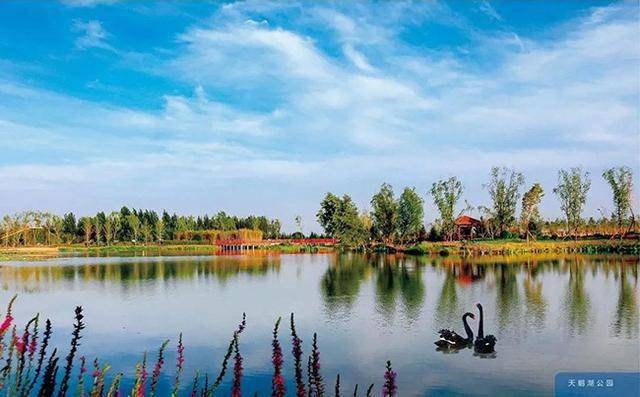 天鵝湖溼地公園介紹:山上有亭榭有林木,登高遠眺可望西北燕山,憑欄