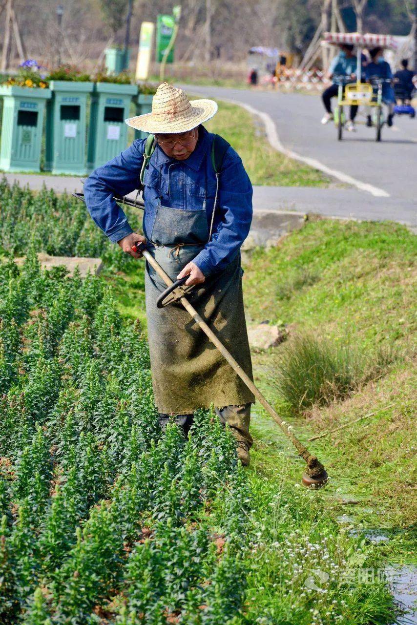 组图丨五一劳动节向广大劳动人民致敬