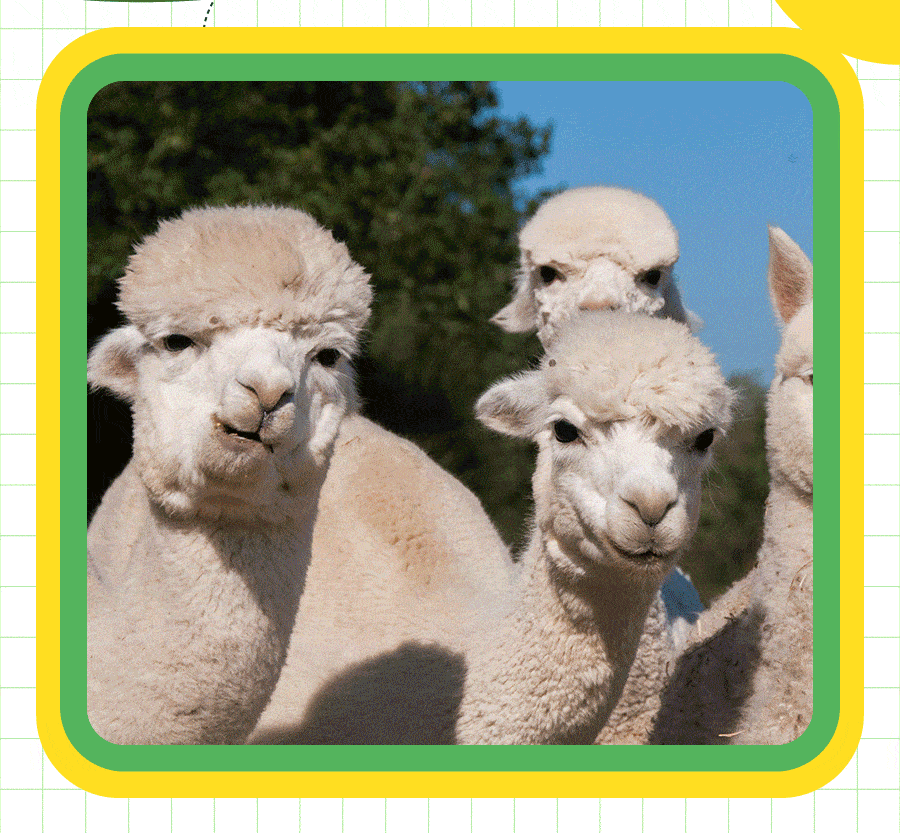 900_833gif 动态图 动图