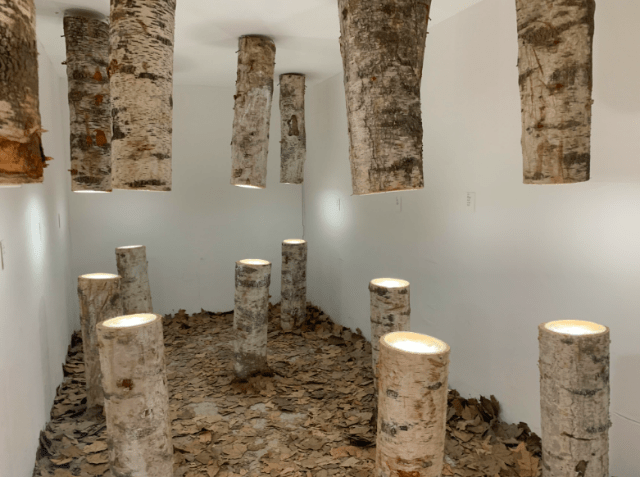 博物|8米长恐龙模型、远古琥珀、黑水摄影……假期来这里能大饱眼福